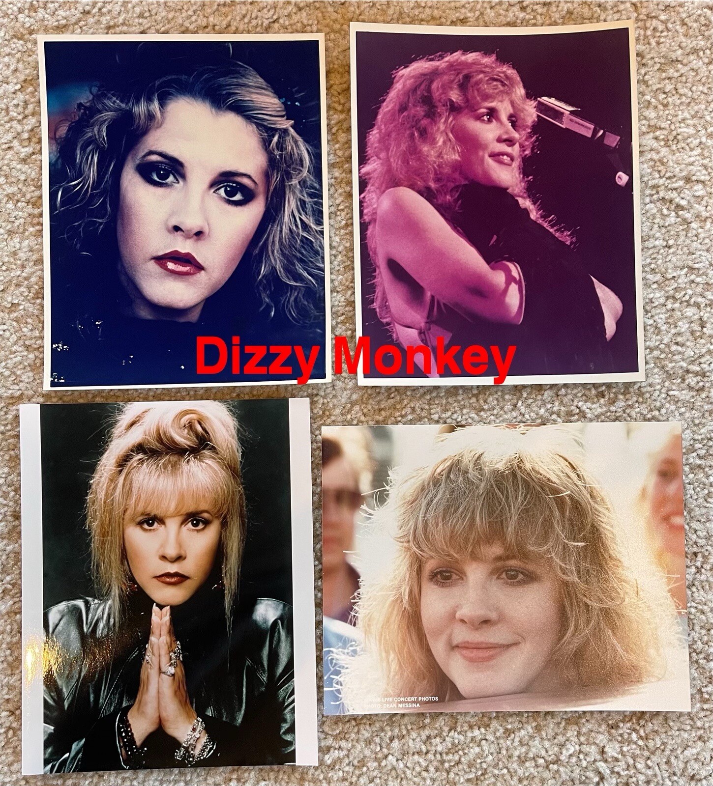 Lot of 4 vintage 8x10 photos of Stevie Nicks - 323 Lot of 4 vintage 8x10 photos of Stevie Nicks - 323