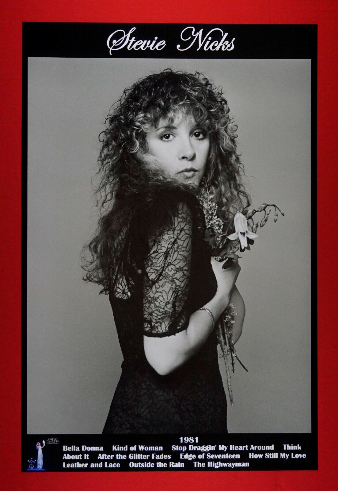 Stevie Nicks Fleetwood Mac Bella Donna Album Promotional Poster 24X36 New   NICB