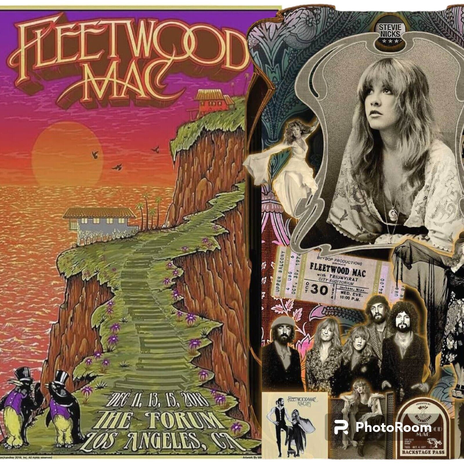 New Stevie Nicks Fleetwood Mac 8x10 Larger Photo Reprint Cool Tour Collect Set