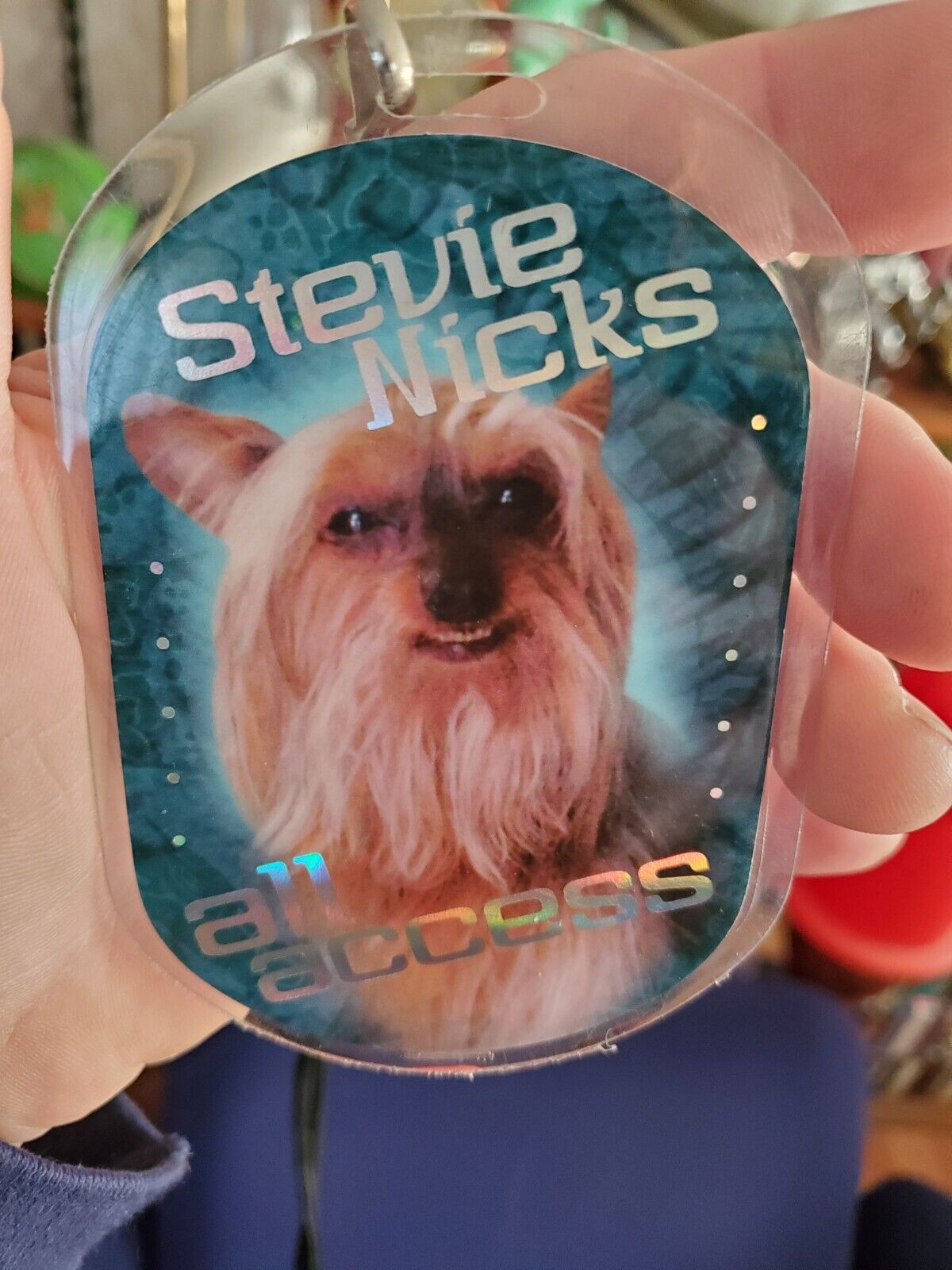STEVIE NICKS ALL ACCESS Backstage PASS LAMINATE FOIL w/terrier dog SUPER CUTE