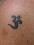 omshiva's Avatar
