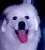 P90pup's Avatar