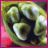 dreamongypsydkm's Avatar