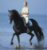 Gypsy Rider's Avatar