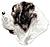 saintbernard's Avatar