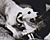 Fiver's Avatar