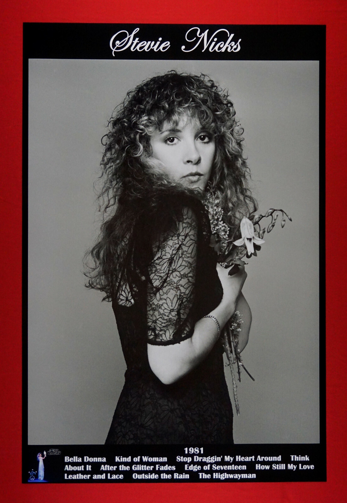 Stevie Nicks of Fleetwood Mac Bella Donna Picture Self Poster 24X36 New NICB Stevie Nicks of Fleetwood Mac Bella Donna Picture Self Poster 24X36 New NICB
