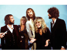 Stevie Nicks and Mick Fleetwood and Lindsey Buckingham and Christine McVie in picture