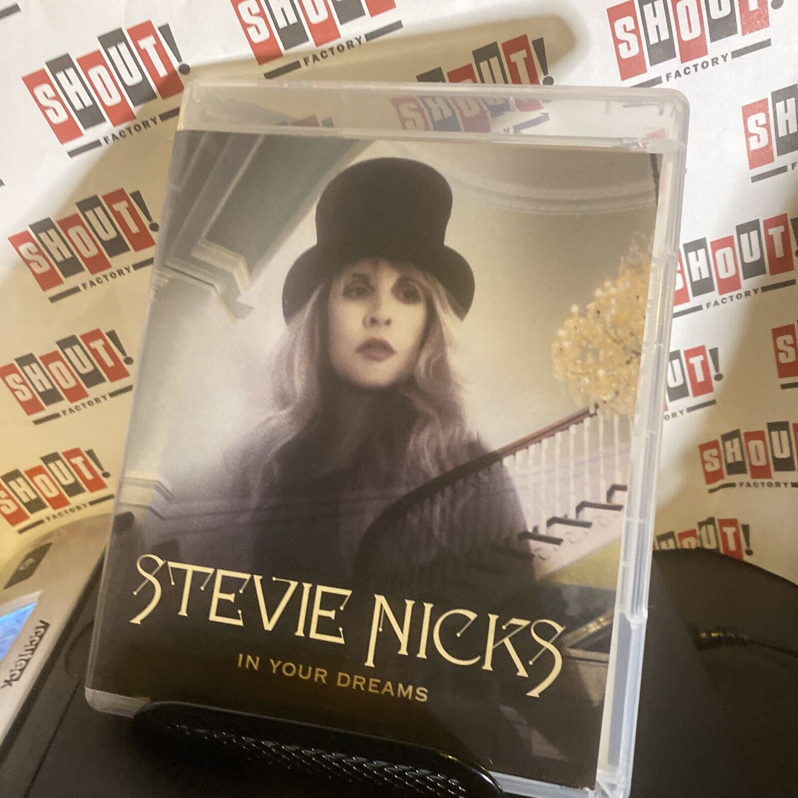 Stevie Nicks In Your Dreams (DVD)