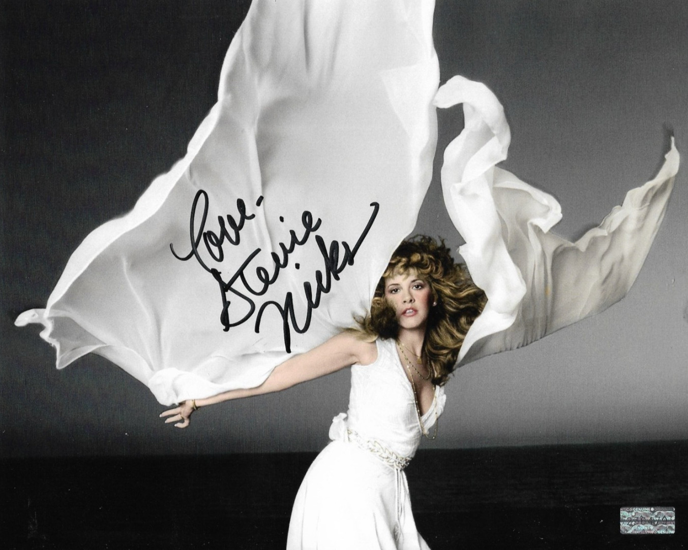 Stevie Nicks (Fleetwood Mac) Signed 8x10 inch Authentic Original Autograph w/COA