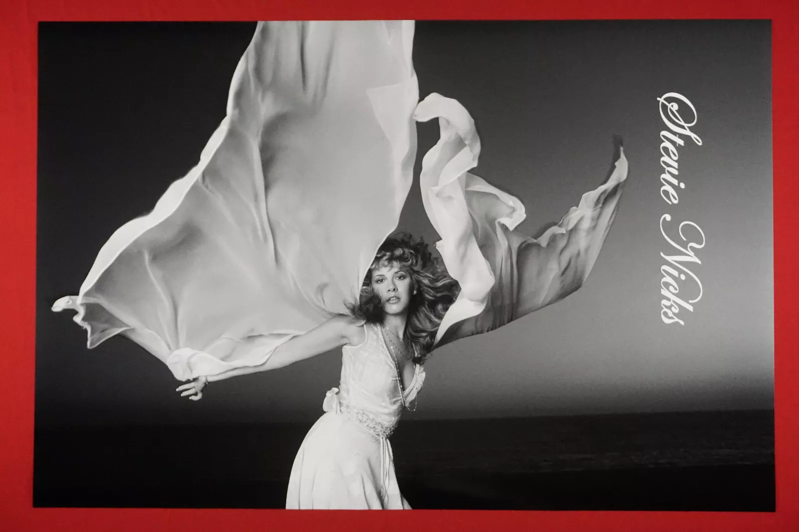 Stevie Nicks of Fleetwood Mac Classic Rock Poster