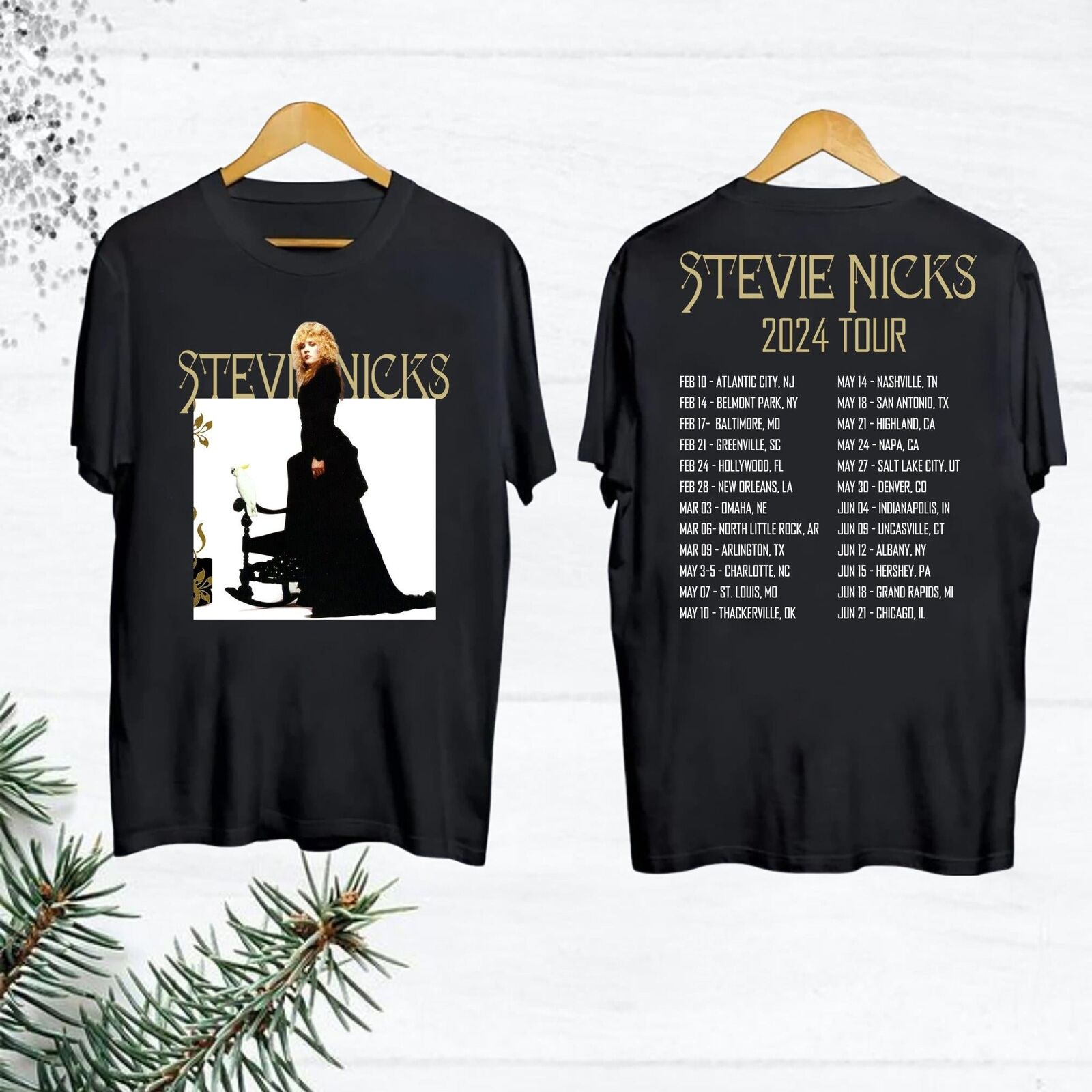 Stevie Nicks 2024 Live In Concert T-Shirt  Stevie Nicks Fan Gifts  Stevie Nicks