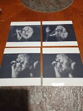 Stevie Nicks Photo Lot Contact Sheet #2 FLEETWOOD MAC 1977 picture